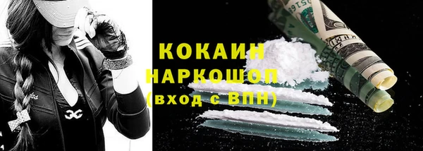 гидропоника Дмитриев