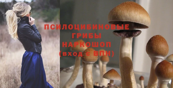 гидропоника Дмитриев