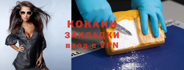 гидропоника Дмитриев