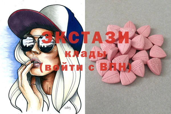 тгк Дмитров