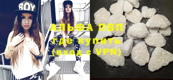 тгк Дмитров