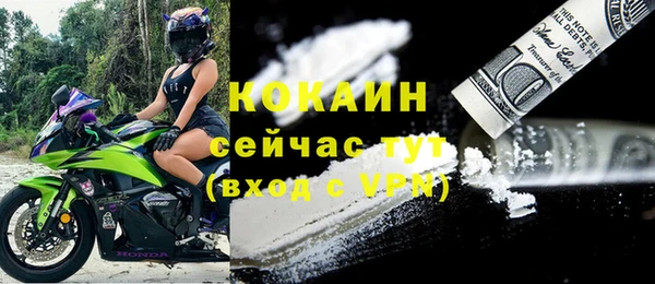 гидропоника Дмитриев