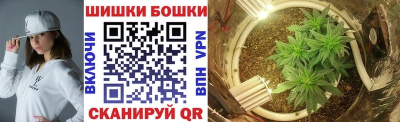 Купить где Иланский Каннабис SATIVA & INDICA